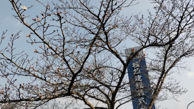 板垣建設 開花宣言